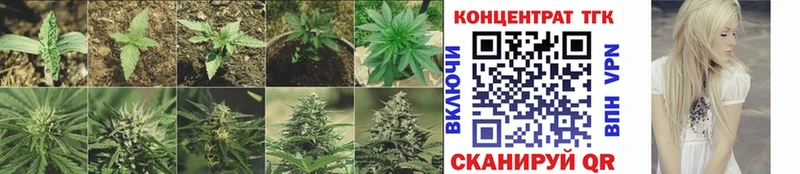 ТГК гашишное масло  Купить  Дигора 